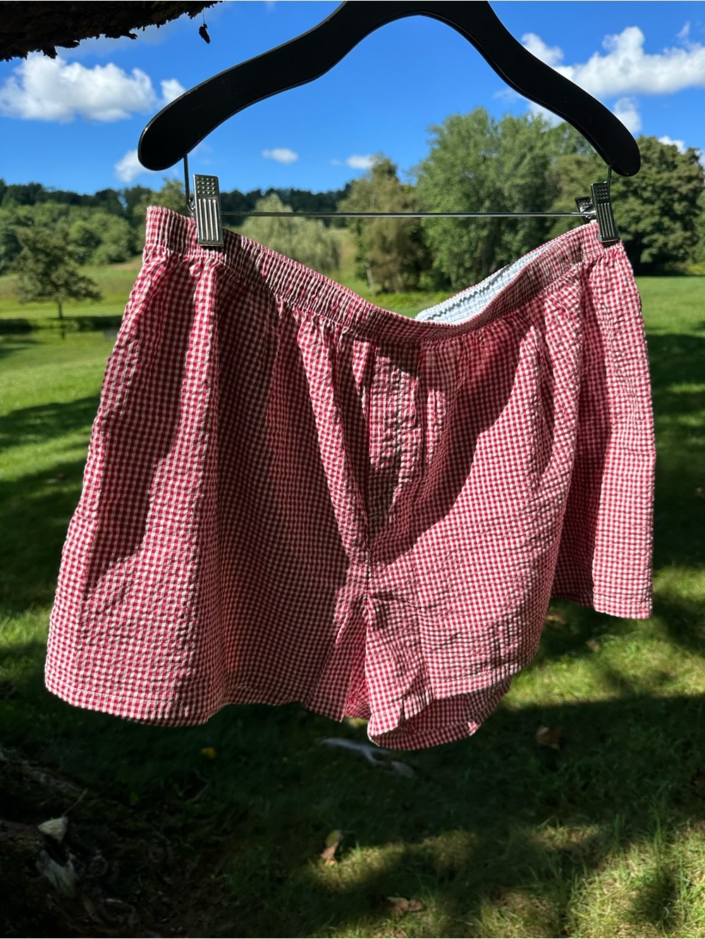 aerie Red Gingham Athletic Shorts